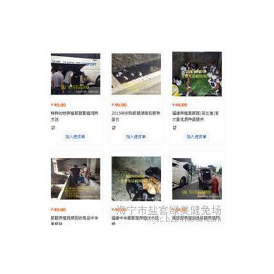 黄山兔子养殖技术养殖成本销售商