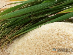 时隔13年后 湖南大米首次出口美国