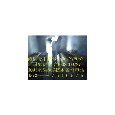 兔场批发肉兔商品兔