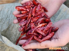 辣椒烘干生产线价格-国信机械-吉林辣椒烘干