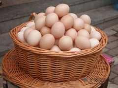 鸡蛋价格下滑明显跌幅达33% 行业集中度过低