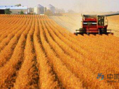 欧洲没胃口吃下被中国拒绝了的美国大豆