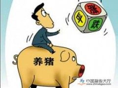 猪粮比价有望下降 猪价2017下半年或走低