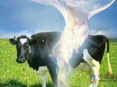 振兴中国奶业：“中国小康牛奶行动”启动