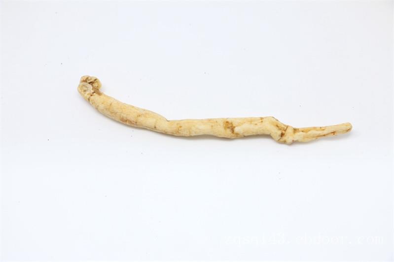 沙参价格_想买实惠的沙参，就来谦城鑫泰