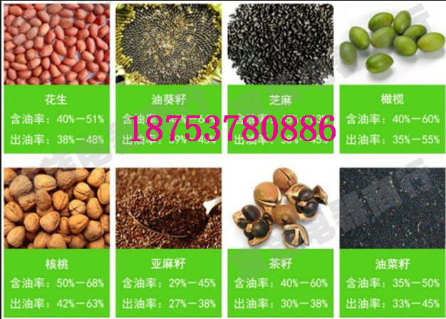 节能高效产品山茶籽榨油机全自动螺旋榨油机小型榨油设备茶籽榨油机