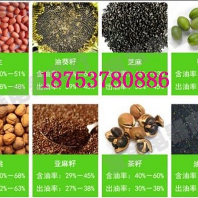 节能高效产品山茶籽榨油机全自动螺旋榨油机小型榨油设备茶籽榨油机