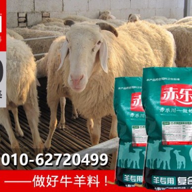 肉羊专用复合饲料