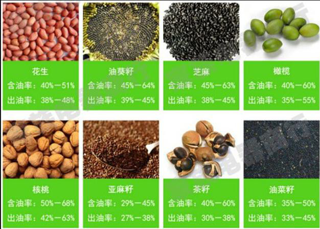 茶油生产设备花生榨油机全自动榨油设备榨油设备食用油加工设备科阳造