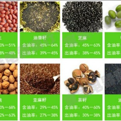 茶油生产设备花生榨油机全自动榨油设备榨油设备食用油加工设备科阳造