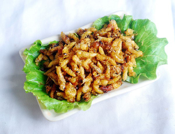 内江马蜂蜂蛹_内江胡蜂蜂蛹_内江大黄蜂蜂蛹_ 绿之美蜂业有限公司