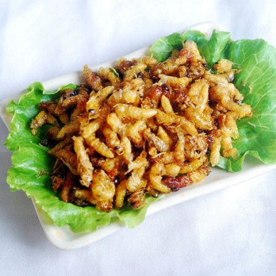 内江马蜂蜂蛹_内江胡蜂蜂蛹_内江大黄蜂蜂蛹_ 绿之美蜂业有限公司