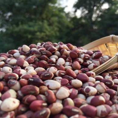 1Kg花豇豆零售 姜豆 1Kg带豆原料零售 上海老申坊现货 可定制 贴牌代工