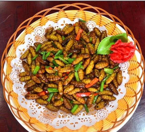 金华马蜂蜂蛹_金华胡蜂蜂蛹_金华大黄蜂蜂蛹_绿之美蜂业有限公司