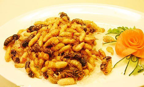 南通马蜂蜂蛹_南通胡蜂蜂蛹_南通大黄蜂蜂蛹_ 绿之美蜂业有限公司