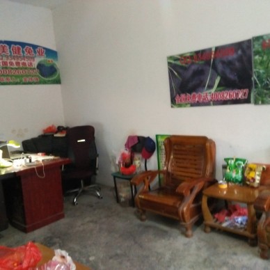 亳州谯城杂交野兔养殖基地养殖场供应