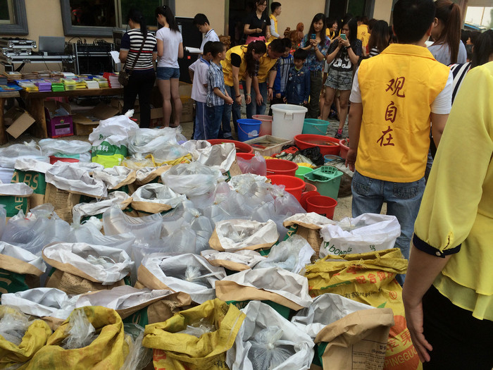 广振宇经营出售草鱼鱼苗草鱼价格土塘虱