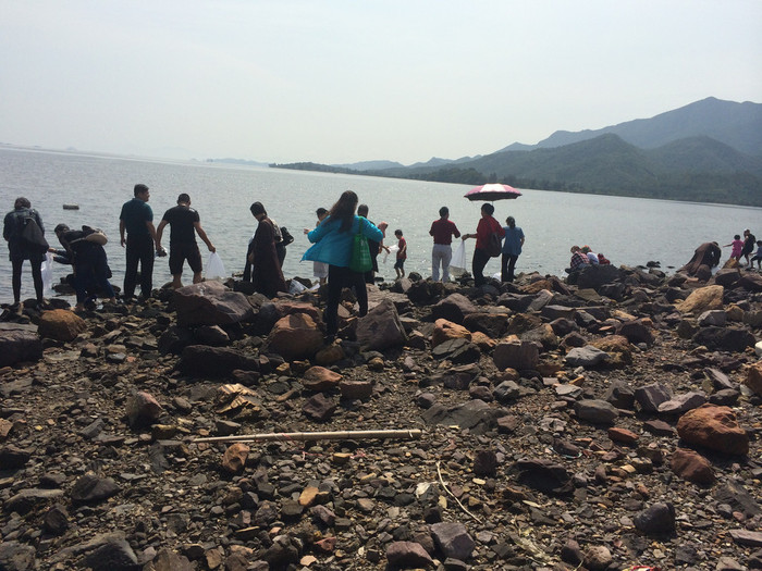 广振宇经营出售金草鱼鱼苗鲶鱼价格锦鲤