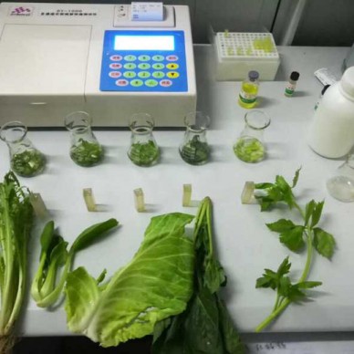 农药残留快速检测仪 农药残毒检测仪 蔬菜水果农药残留检测仪