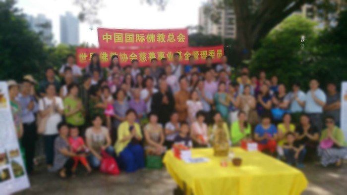 广振宇经营出售金草鱼鱼苗鲶鱼价格塘虱