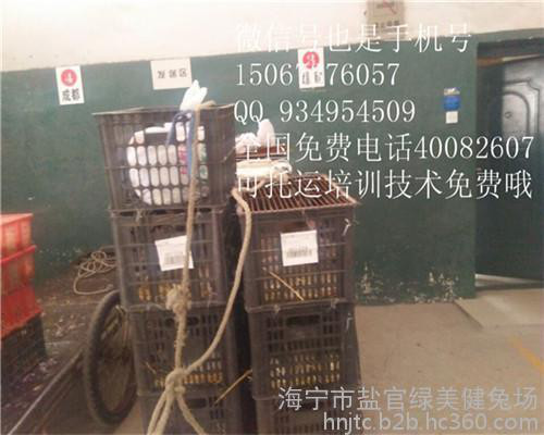 山东肉用型动物食草动物节粮型小家畜商机