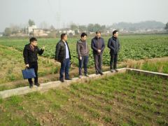 省土测中心调研指点我晋中市耕地质量树立义务