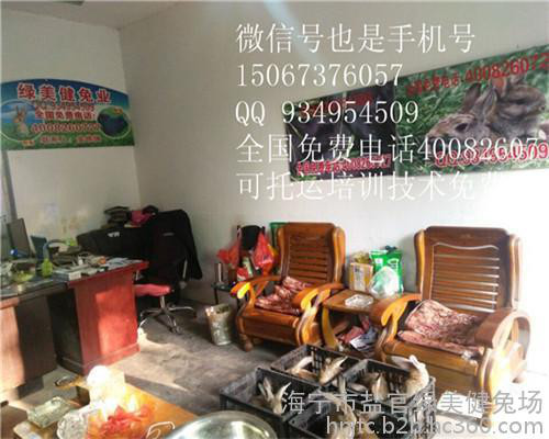 文登动物养殖场食草动物节粮型小家畜价格便宜