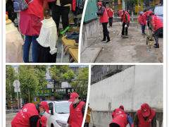 襄阳晋中市农业农村局展开爱国卫生运动稳定抗疫效果-襄阳晋中市农业农村局