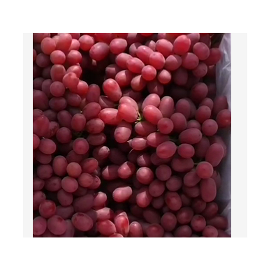 四川甜蜜克伦森