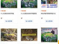 秦皇岛营养价值养殖前景供应商