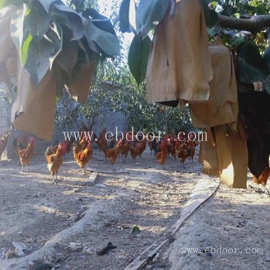 摘吧家庭农场亲子教育-农业生态水产养殖去哪儿