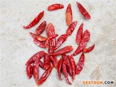 辣椒加工机械-辣椒加工-国信机械