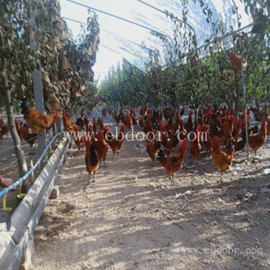 摘吧家庭农场收费低-农家生态水产养殖那家好