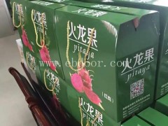 大红火龙果苗供应商推荐