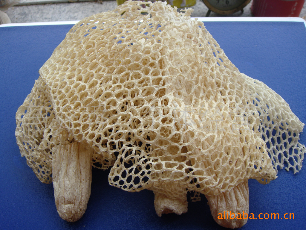 【超低价热销】蜀南竹海宜宾优质土特产长裙竹荪（普通货）