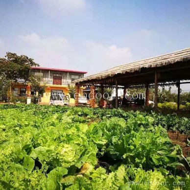 摘吧家庭农场观光园(图)-周边采摘园基地电话-采摘园基地电话