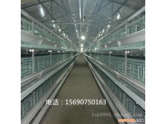 鸡笼厂批发全自动层叠蛋，肉鸡笼三层四层五层阶梯订做设备