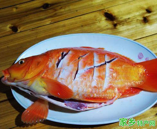 兴国鲤鱼 -赣州兴国特产