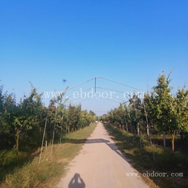 农业团体活动观光园-团体活动观光园-摘吧家庭农场适合团建