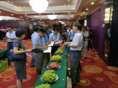 南京农业大学-江阴挂县强农暨首届‘江阴好水果’品鉴会成功举行