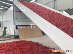 红辣椒烘干机-国信机械-东营辣椒烘干机