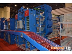 中州鸡笼厂层叠捡蛋系统自动养鸡