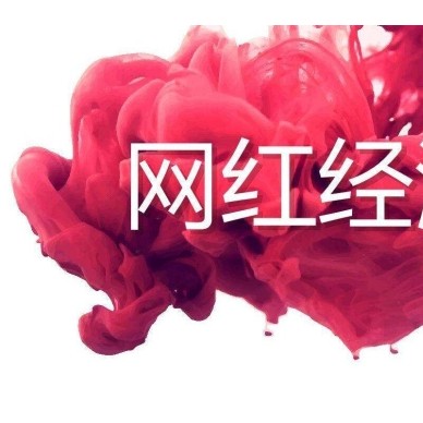 2020杭州直播电商及网红经济链展