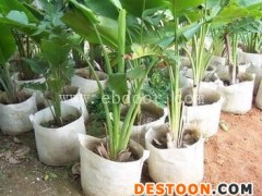 二月蓝绿化器材价格-大理绿化用无纺布