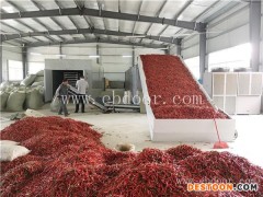 国信机械(图)-辣椒烘干机利润分析-漯河辣椒烘干机