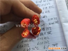 辣椒烘干机多少钱-东营辣椒烘干-国信机械(查看)