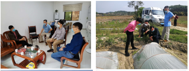 1585105731728084753.png blob.png