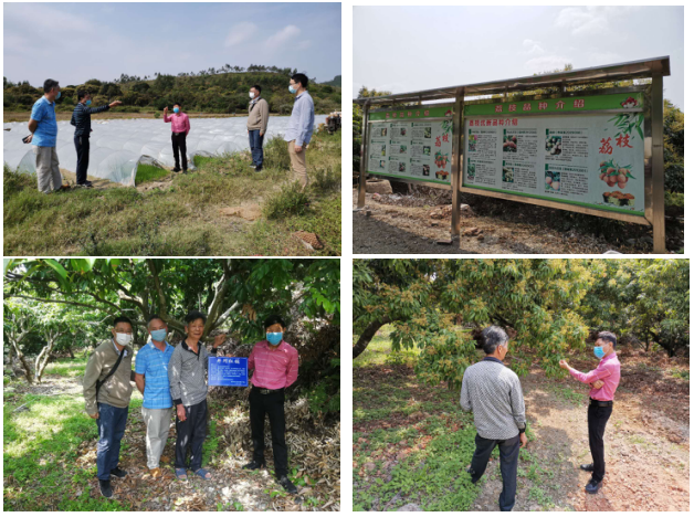 1585105782035003152.png blob.png