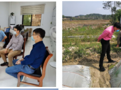 认真抓好春播春管 努力夺取全年农业丰收