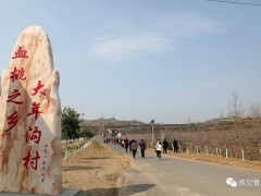 鲁山文联、鲁山作协桃花笔会走进大年沟